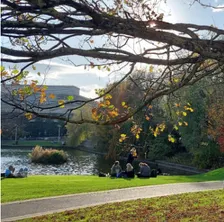 Autumn Tales & Traditions: A Global Celebration
