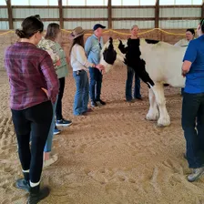 Medicine Horse Happy Hour at the Ranch