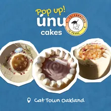 Chiffon Cake Popup @ Cat Town Oakland