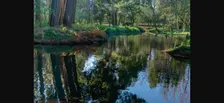 Passeio Gaia | Parque da Lavandeira
