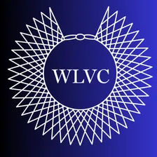 WLVC & SBWL Mixer: Mentorship Match Event