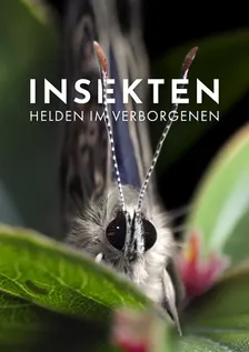 Film & Gespräch über Artenvielfalt, Umweltschutz und die Zukunft unserer Kinder