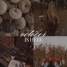 Pumpkin Patch