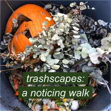 trashscapes: a noticing (and photo) walk