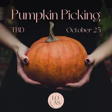 Pumpkin Picking!