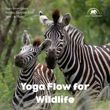 Yoga Flow for Wildlife