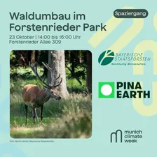 Waldumbau im Forstenrieder Park erleben: Von Monokultur zu einem klimaresilienten Mischwald