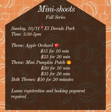 Fall Mini-shoots🎃🍎
