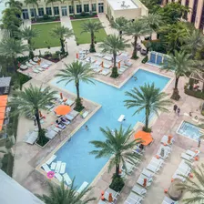 Conscious Palm Beach IRL