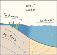 Innovation Conversation: Saltwater Intrusion