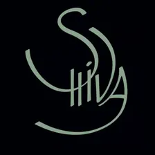 Shiva Hack #8 – Stripe + Dalea AI