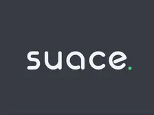 suace Mixer: Executives and Leaders in Technology - Corner Pub, 10/28 @ 5:00