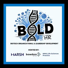 2026 BOLD HR: Fall