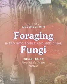 Foraging for Fungi – Meeting Mushrooms in Berlin and Brandenburg [in English]