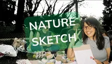 October Nature Sketch: Jardins de Joan Maragall