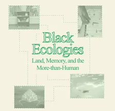 Black Ecologies: Land, Memory, and the More-than-Human