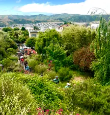 Visitacion Valley, McLaren Park & Excelsior