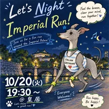 Night Run vol.8