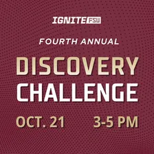 Discovery Challenge