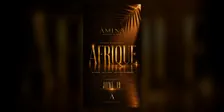 AFRIQUE Fridays At AMINA