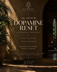 ~ Dopamine Detox ~