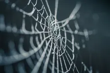TIPSY TIPS: AFTER DARK — A Halloween Press-On Experience
