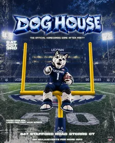 DOG HOUSE
