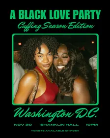 A BLACK LOVE PARTY D.C