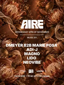 DMeyer b2b Marie Posa & More