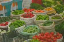Gelsen-Trödel (Trödelmarkt an der Trabrennbahn GE)