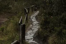 Camino de Edmonton 2026 Hike #9