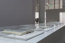 Pokemon Fossil Museum