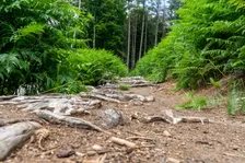 Regionalwandertag des NWSV - Glühweintour nach Taucha