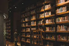 The Lion, the Witch, and the Wardrobe