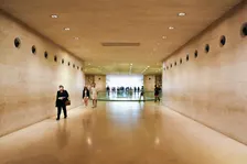 Nocturne at the Museum of Natural History