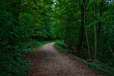 Urban Hike: Camino de Edmonton 2026 Hike #5