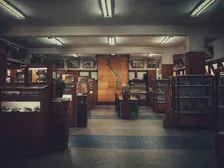 Visites guiades a La Llotja de Mar