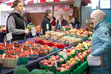 Hansemarkt Dortmund - ein Fest für alle Sinne