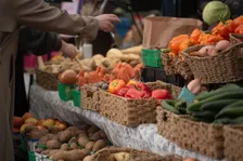 Gelsen-Trödel (Trödelmarkt an der Trabrennbahn GE)