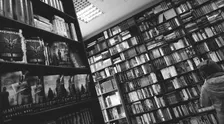 The Lion, the Witch, and the Wardrobe