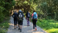 Calgary Walk: Ogden, Beaverdam Flats, Lynnwood views, SE