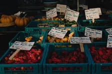 Gelsen-Trödel (Trödelmarkt an der Trabrennbahn GE)