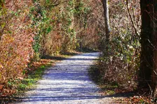 Spätherbstliche Wanderung