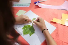 Taller 'Aquarel·la botànica experimental, aprofundiment'