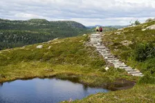 Vom Büro in die Natur: After Work Wanderung