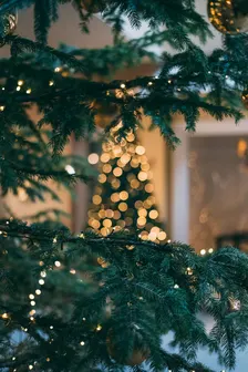 Holiday Party & Art Show