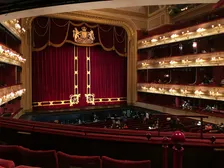 David - The Musical