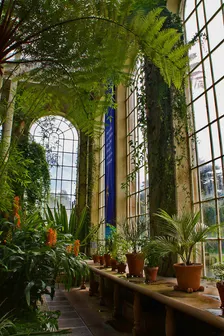 Botanic Sanctuary Lunch Presentation