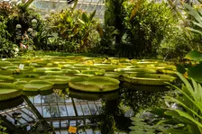 Hortus Wandeling Planten & Planeten