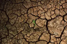 Unequal distribution of climate harms: the international climate legal framework, loss and damage and their financial underpinnings